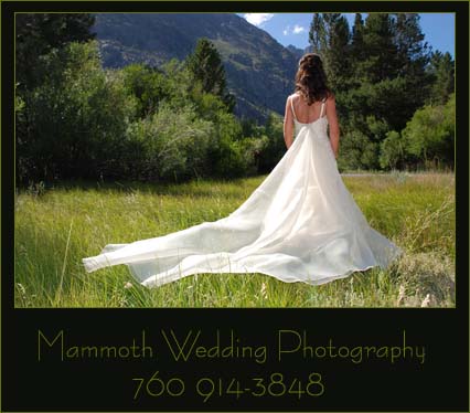 Mammoth wedding photography, Bishop Wedding Photographer, Wedding Photos Mammoth Lakes, June Lake wedding photographs