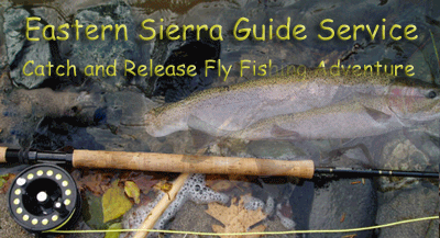 Mammoth Lakes, California Trout Fly Fishing Guide Pat Jaeger, Bishop and Mammoth Lakes