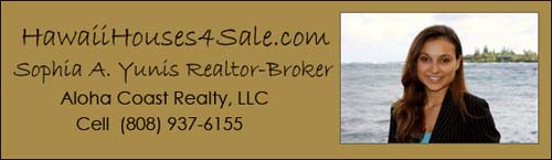 Hawaii The Big Island Homes For Sale and Hawaiian Real Estate.