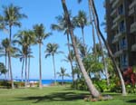Kaanapali Alii a world class Maui Resort, 2 bedroom, 2 bath, sleeps 4 to 6