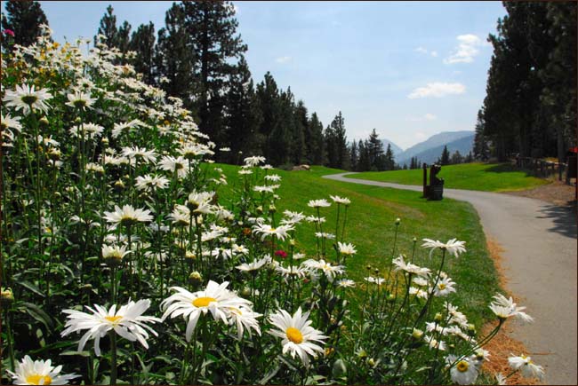 Mammoth Lakes Sierra Star Golf Course
