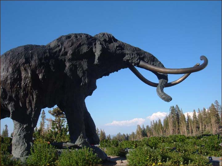 Mammoth Mountain Resort features year round activities!