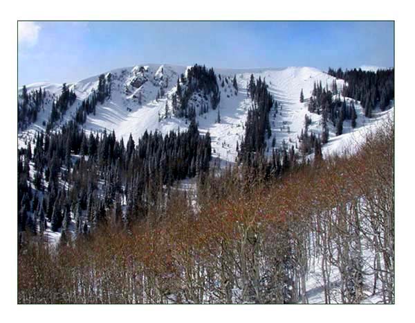 Park City Ski Resort The Face