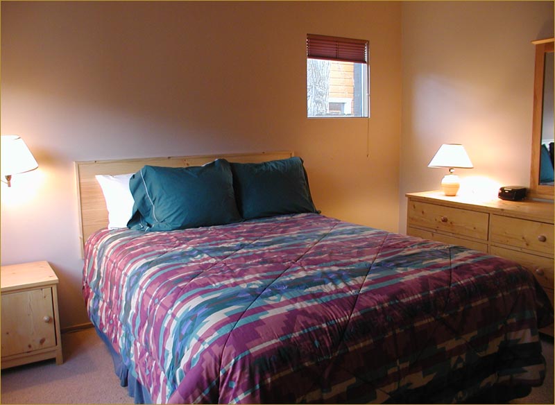 Large Family Holiday Rental Winter Olympics Games